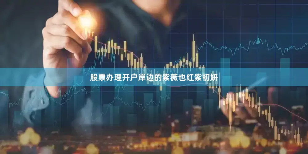 股票办理开户岸边的紫薇也红紫初妍
