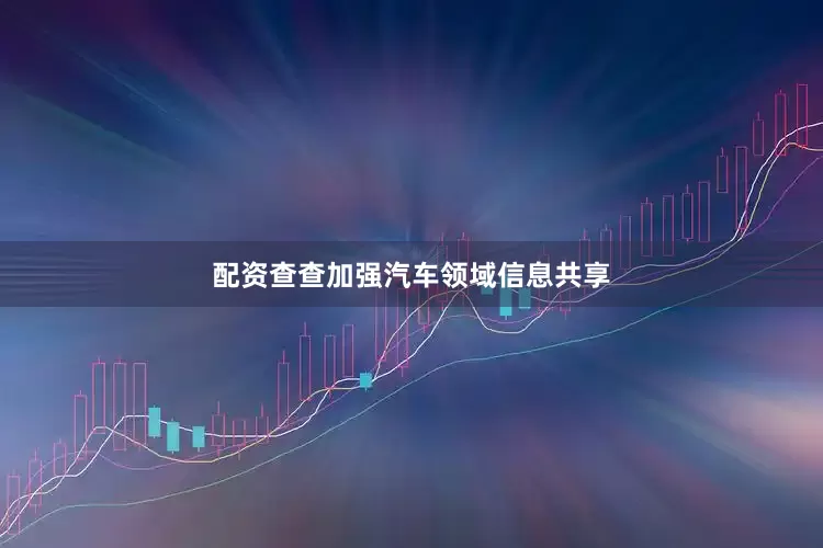 配资查查加强汽车领域信息共享