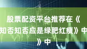 股票配资平台推荐在《知否知否应是绿肥红瘦》中